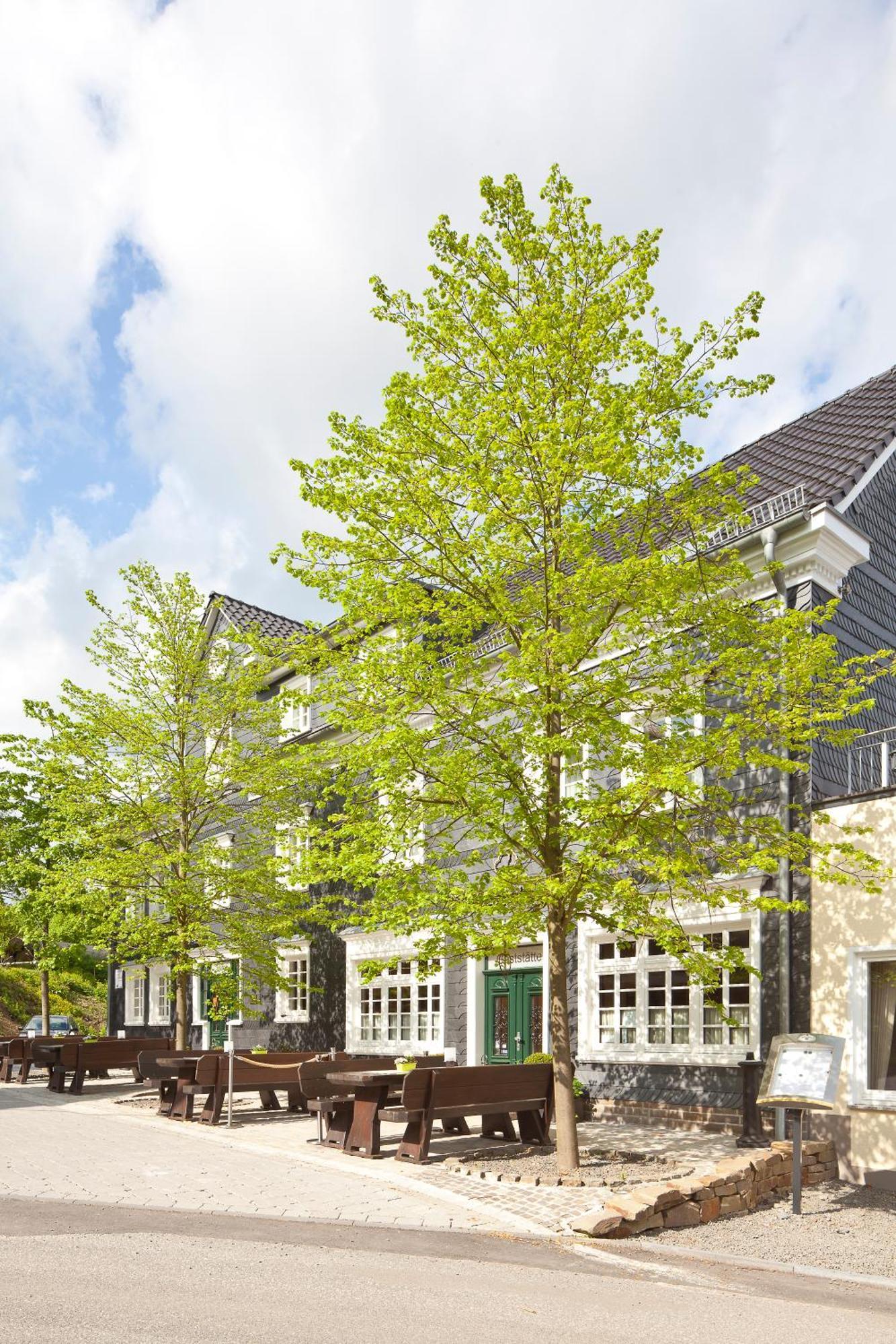 Hotel Zu Den Drei Linden Wermelskirchen Exteriér fotografie