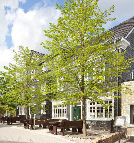Hotel Zu Den Drei Linden Wermelskirchen Exteriér fotografie